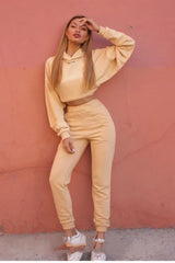 New Tracksuit Women Elegant Solid Suits Fleece Warm Hoodies