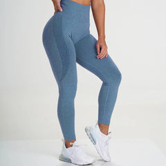 Contour Seamless Leggings Women High Waist Yoga Pants